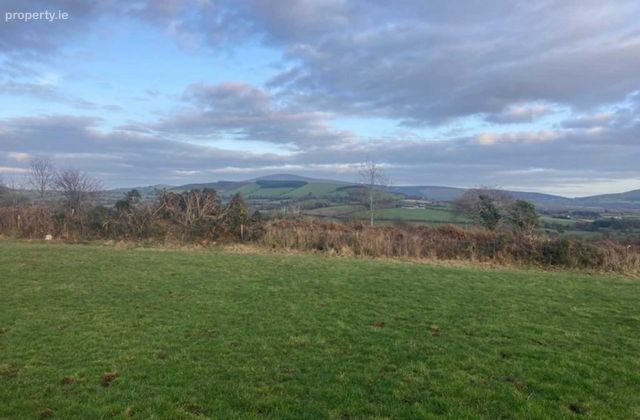 Mount Pleasant C.1 Acre, Tinahely, Co. Wicklow, Tinahely, Co. Wicklow - Click to view photos