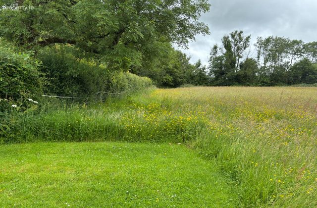 7.5 Acres Pheopotstown, Kilcock, Co. Meath - Click to view photos