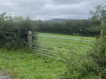 Currinree, Corries, Bagenalstown, Co. Carlow - Image 2