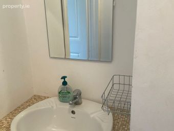 Portlaoise Road, Graiguecullen, Co. Laois - Image 3