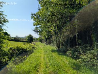 Derrynagower, Claremorris, Co. Mayo, Claremorris, Co. Mayo - Image 3