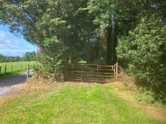 Ballinaguile, Kiltegan, Co. Wicklow, Chalet On 3.617, Rathdangan, Co. Wicklow - Image 3