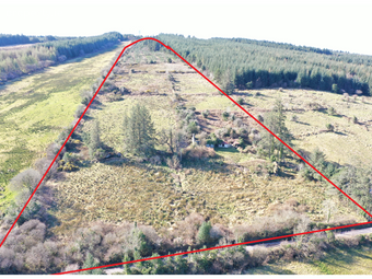 Fauleens, Ballaghaderreen, Mayo, Co. Mayo - Image 2