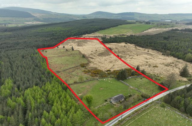 Cottage On C. 17.43 Acres Granabeg Upper, Valleymount, Co. Wicklow - Click to view photos