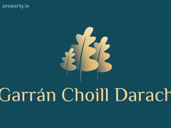 Garran Choill Darach, Garran Choill Darach, Oranmore, Co. Galway, Oranmore, Co. Galway - Image 4