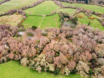 Bahana, Enniskerry, Co. Wicklow, Enniskerry, Co. Wicklow - Image 2