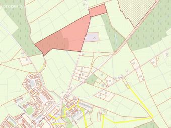 Lands At Barraghbeg, Drumlish, Co. Longford - Image 2
