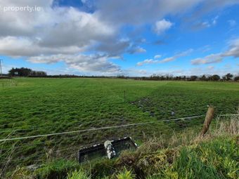 6.424 Acres For Sale In Liskeavy, Liskeavy, Tuam, Co. Galway, Kilconly, Co. Galway - Image 3