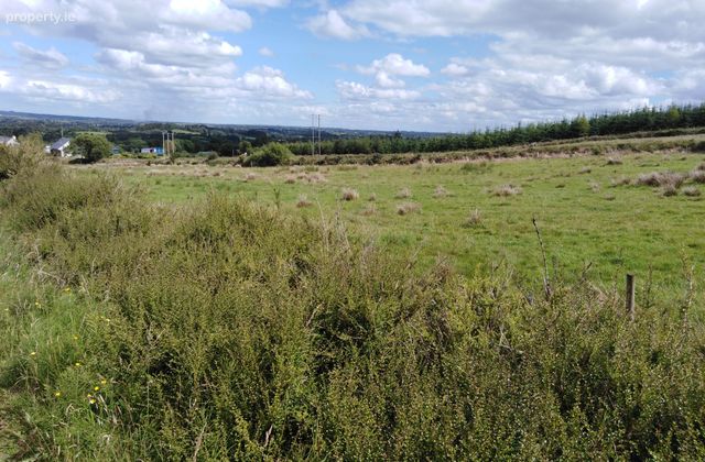 Tooromin, Bohola, Co. Mayo - Click to view photos