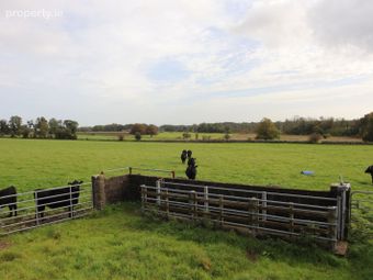 Monivea Demesne, Monivea, Co. Galway - Image 2