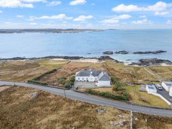 Blue Salmon, Ballyconneely, Clifden, Co. Galway, Ballyconneely, Co. Galway - Image 2