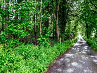 Lands, Rossarrell, Glaslough, Co. Monaghan, Glaslough, Co. Monaghan - Image 4