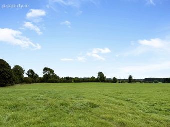 Kilgawny (lot 2 - C. 57.58 Acres), Rathconrath, Co. Westmeath, Rathconrath, Co. Westmeath