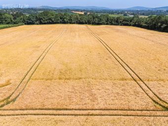 Whole: Lands &amp; Cottage, Lisnavagh, Rathvilly, Co. Carlow, Rathvilly, Co. Carlow - Image 4