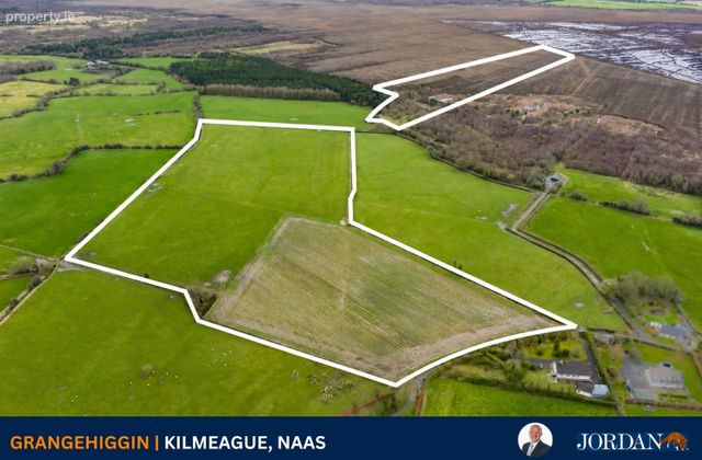 C. 43 Acres, Grangehiggin, Kilmeague, Naas, Co. Kildare, Allen, Co. Kildare - Click to view photos