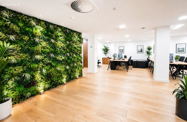 5 School House Lane East, Dublin 2 - Click to view photos