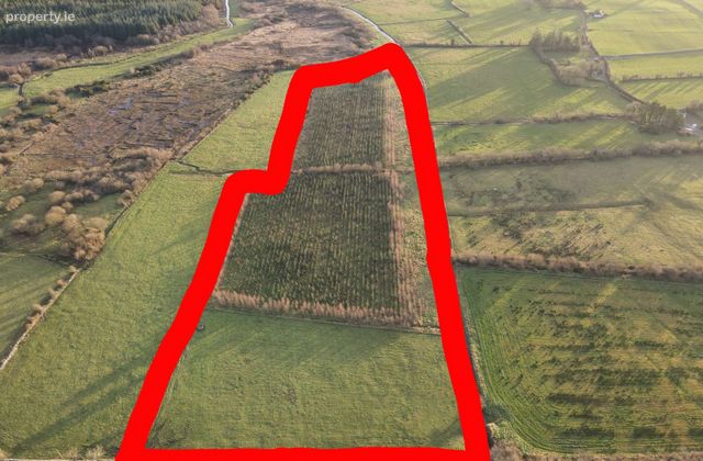 Cloghermore, Claremorris, Co. Mayo - Click to view photos