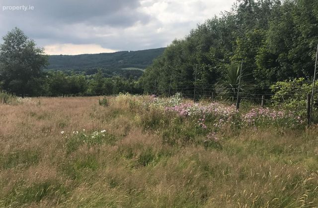Ballylusk, Ashford, Co. Wicklow - Click to view photos