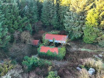 Derelict Cottage At Carracastle, Carracastle, Co. Mayo - Image 5