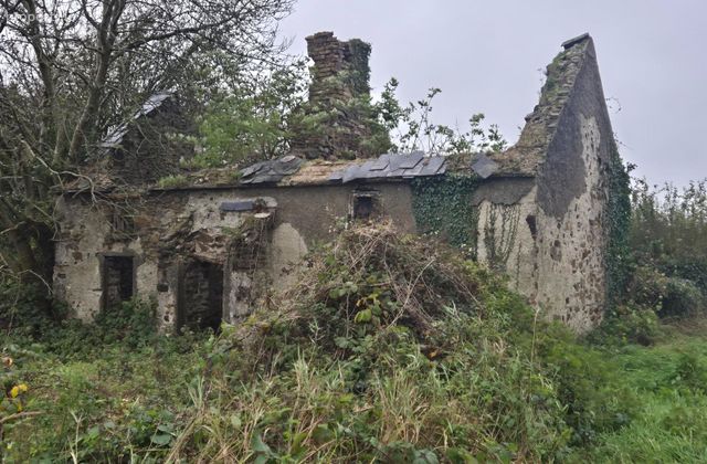 Coolquill, Killenauale, Mardyke, Co. Tipperary - Click to view photos