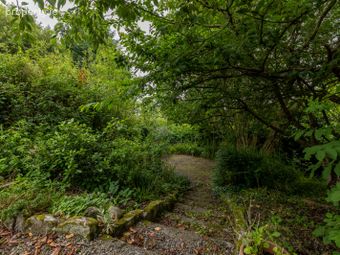 Ballyknock, St. Mullins, Co. Carlow - Image 4