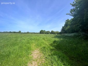 Capparoe, Nenagh, Co. Tipperary, Carrigatogher, Co. Tipperary - Image 3