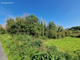 Logcurragh, Swinford, Co. Mayo, Swinford, Co. Mayo - Image 2