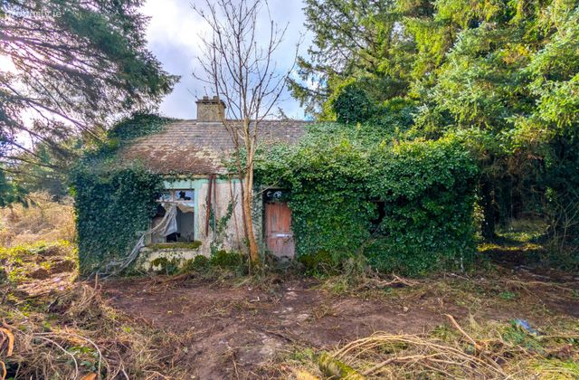 Derelict Cottage At Carracastle, Carracastle, Co. Mayo - Click to view photos