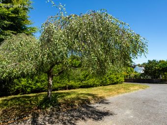 Castle Road, Bandon, Bandon, Co. Cork - Image 5