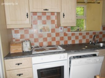 Rover, Arigna, Co. Roscommon - Image 4