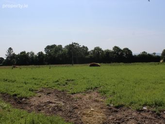 .75 Acre Site, Kilcarrig, Bagenalstown, Co. Carlow, Bagenalstown, Co. Carlow - Image 5