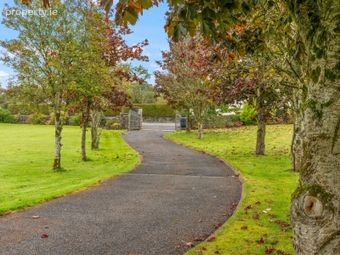 Shanagolden House, Knocknahur North, Ransboro, Co. Sligo - Image 5