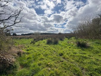 Shevanagh, Frenchpark, Co. Roscommon - Image 5