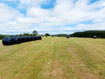 Garruragh, Tulla, Co. Clare