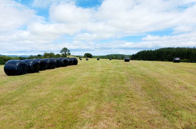 Garruragh, Tulla, Co. Clare - Click to view photos