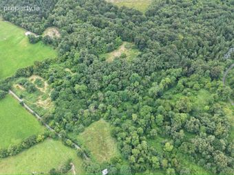Lands At Kylatlea, Mullinahone, Co. Tipperary, Mullinahone, Co. Tipperary - Image 5