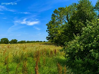 55 Acres, Thomastown, Kilcullen, Co. Kildare - Image 3
