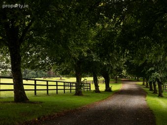 Triermore House And Stud Farm, Fordstown, Navan, County Meath, Fordstown, Co. Meath - Image 3