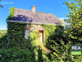 Old Rathvilly Road, Lathaleer, Baltinglass, Co. Wicklow, Baltinglass, Co. Wicklow