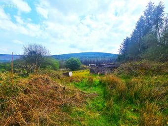 Derelict Cottage At Cloghvoolia, Killavullen, Mallow, Co. Cork - Image 2
