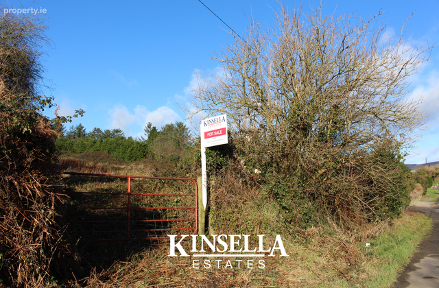 Mount Pleasant, Tinahely, Co. Wicklow - Click to view photos