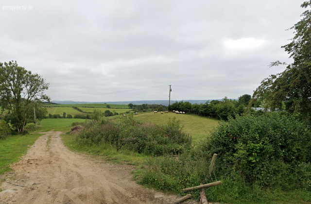 Cavan Upper, Killygordon, Co. Donegal - Click to view photos