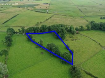 C. 1.25 Aces At, Lisnagavragh, Four Roads, Co. Roscommon, Four Roads, Co. Roscommon - Image 3