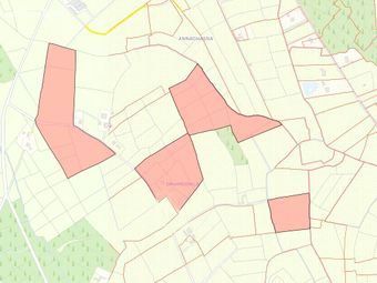 Lands At Kilnagross, Carrick On Shannon, Co. Leitrim, Kilnagross, Co. Leitrim - Image 2