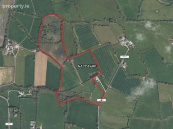 Cappacur, Tynagh, Co. Galway, Tynagh, Co. Galway