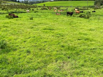 Summerhill, Donegal Town, Co. Donegal - Image 5