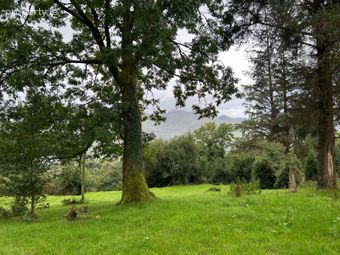 Keeas, Glencar, Boheeshil, Co. Kerry - Image 2