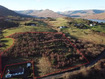 Forestry At Cloghbrack Upper, Cloughbrack Upper, Cornamona, Co. Galway, Cornamona, Co. Galway - Image 2