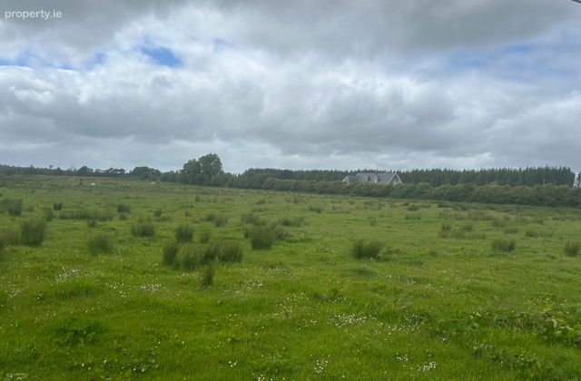 Kilvoy, Mantua, Elphin, Co. Roscommon - Click to view photos