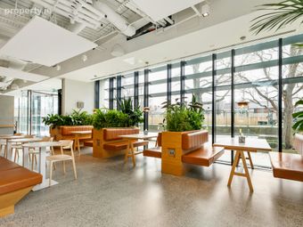 1st Floor, 55 Charlemont Place, Dublin 2, Dublin 2 - Image 4